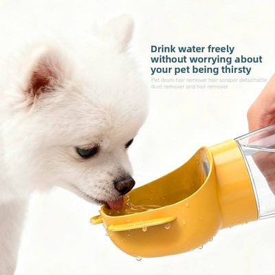Portable Water Bottle from Chinese manufacturer