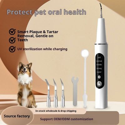Ultrasonic Teeth Cleaner from Chinese manufacturer