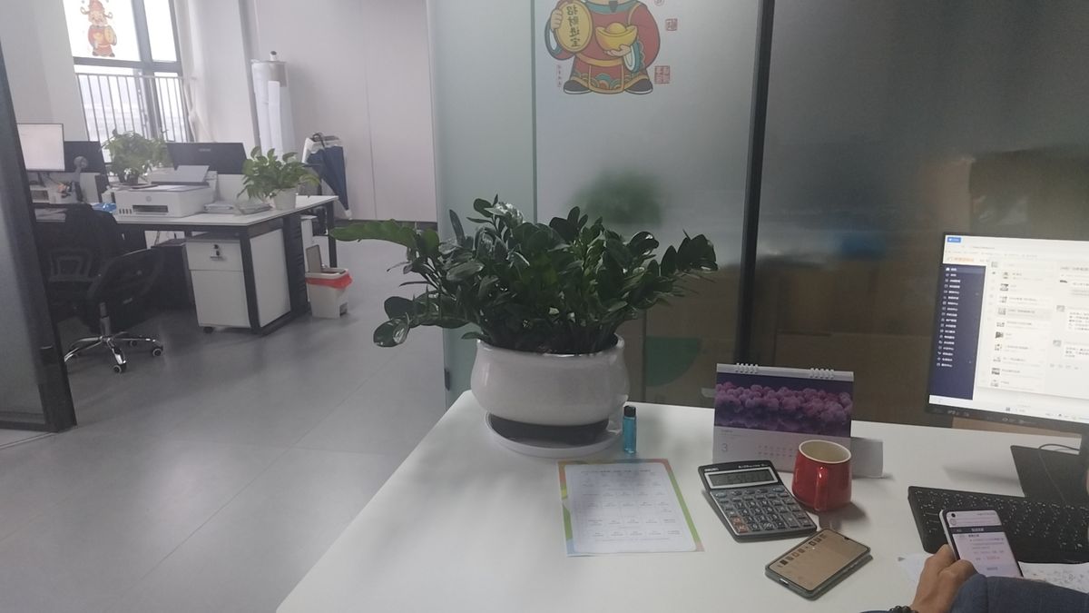 LiYunTong team workspace with office plants in Zhuhai China