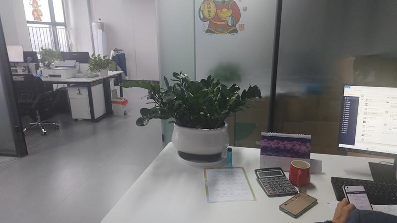Office desk with money tree plant at LiYunTong